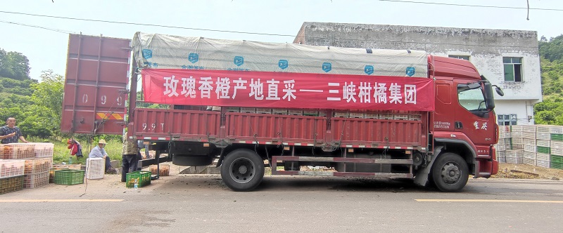 1650506142535284.jpg 三柑解決滯銷.jpg