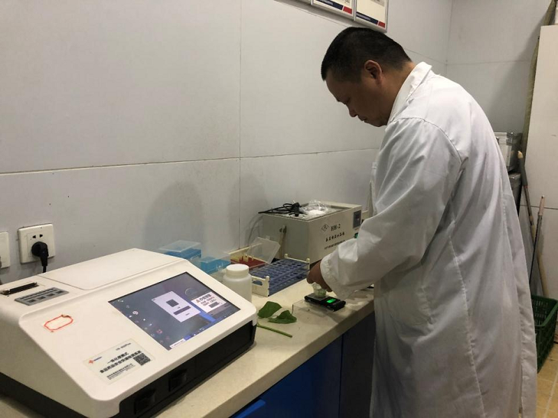 1660813478550221.png 菜籃子3.png