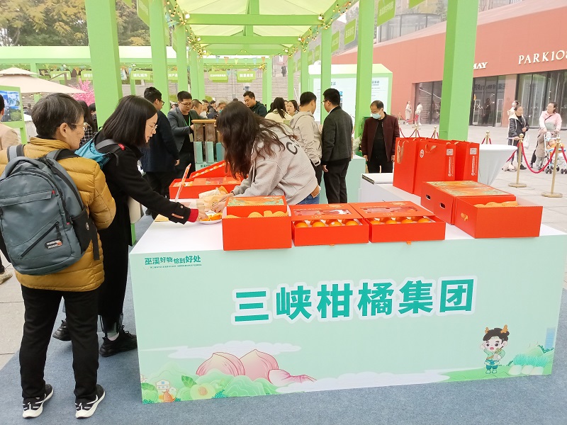 1678366704763309.jpg 16.jpg