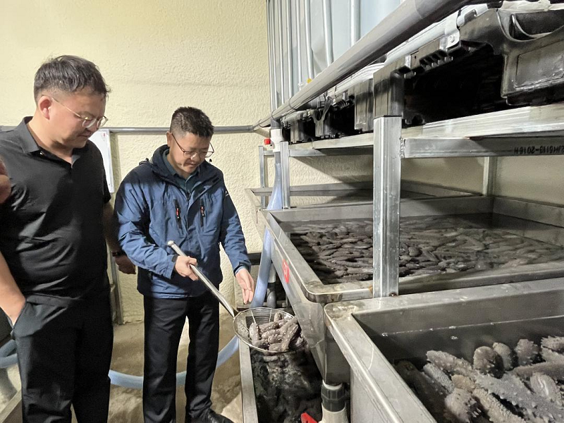 1699837827988795.png 圖片46.png