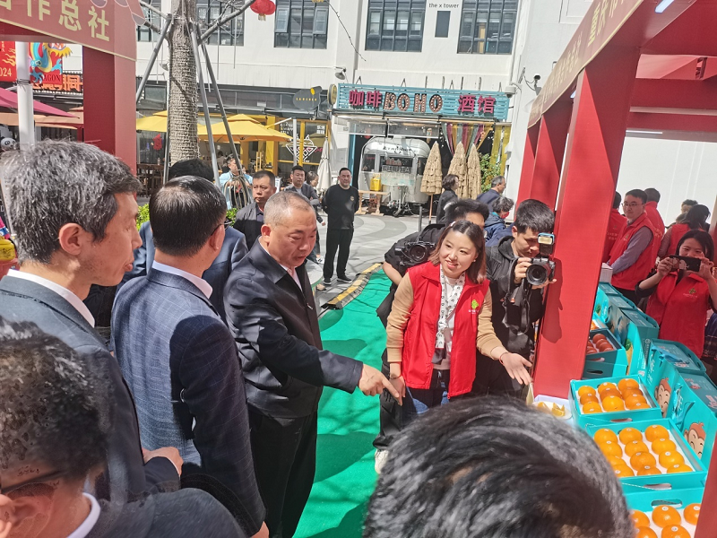 1712132557412184.png 圖片35.png