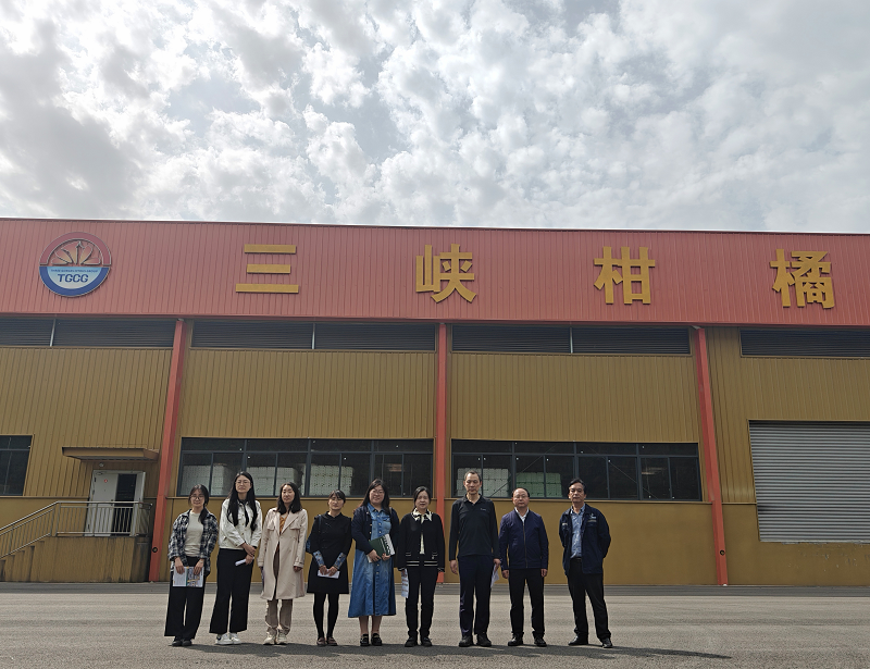 1744960263527580.png 圖片20.png